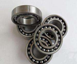 Latest design 306TN-Z Bearing